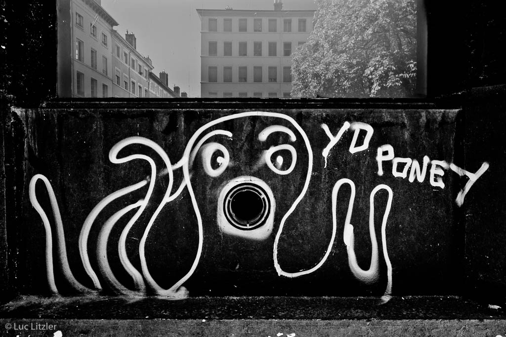  Graffiti 01, Lyon, 2010, © Luc Litzler