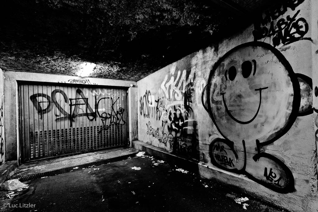  Graffiti 08, Lyon, 2010, © Luc Litzler